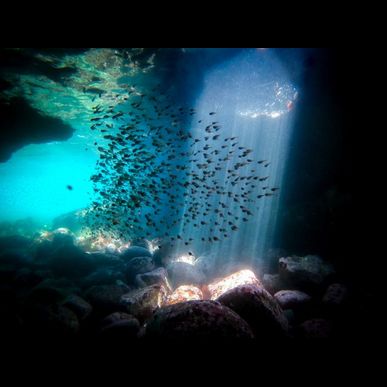 伊豆で洞窟のダイビングが体験できます