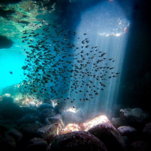 伊豆で洞窟のダイビングが体験できます