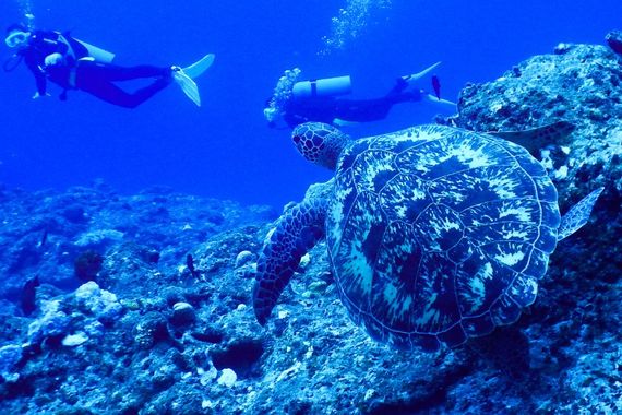魅力的な水中洞窟探索