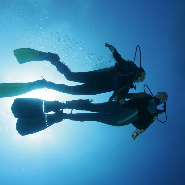 ダイビングを富戸ホールで楽しむなら当店へご連絡ください