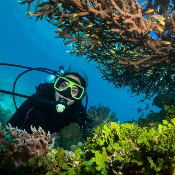 ファンダイビングを富戸ホール等で楽しめます