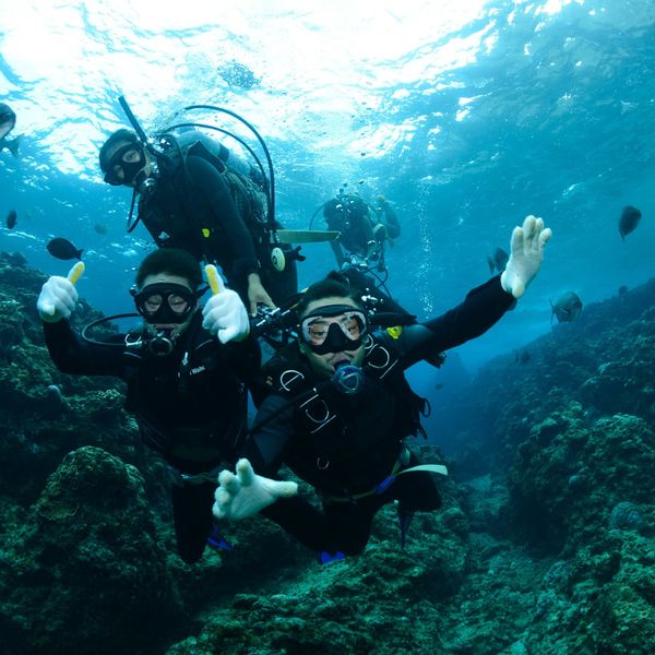 伊豆でダイビングや水中写真が楽しめます