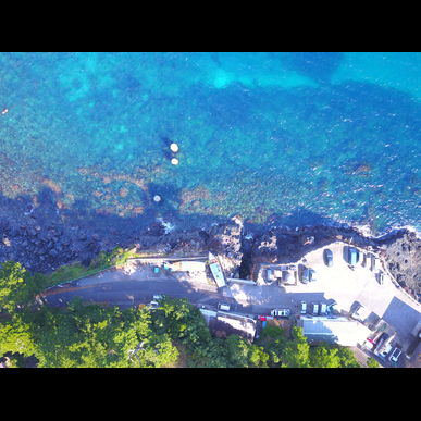 伊豆でダイビングするなら初心者も安心のCloverにお任せ