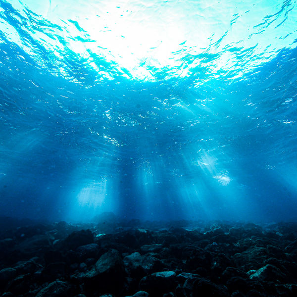 富戸で手ぶらダイビング！レンタル器材無料のCloverDivingServiceです