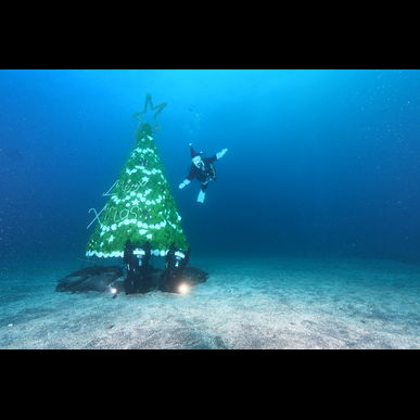 水中スクータをするならCloverへ！！水中クリスマスツリーで記念撮影♪