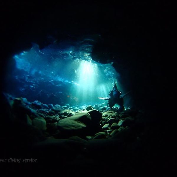 伊豆で潜るなら手ぶらでOKのCloverへ！！器材レンタル無料♪