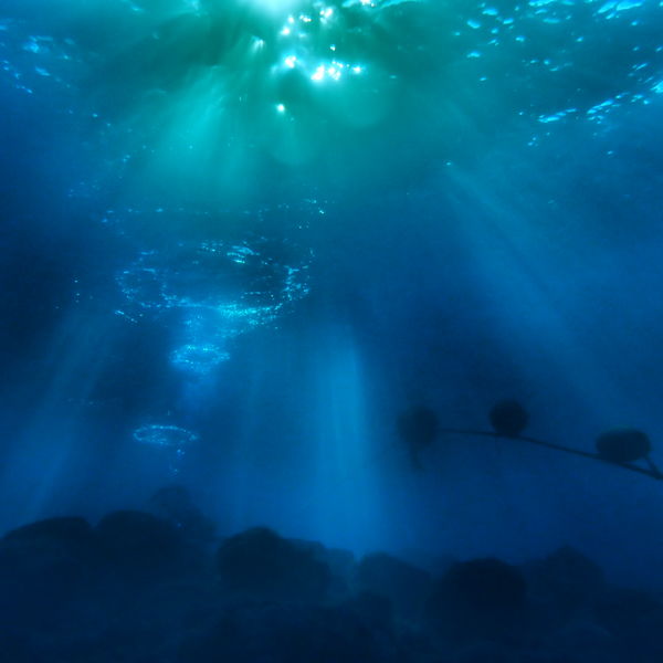 富戸でカメラ練習出来ます！！カメラレンタル無料♪