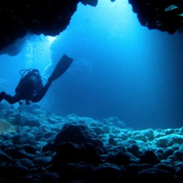 伊豆半島NO.1ポイントで潜るならCloverにお任せあれ！器材レンタル無料♪